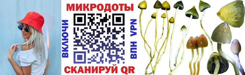 Галлюциногенные грибы ЛСД  сколько стоит  Кремёнки 